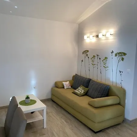 Modern With Wonderful View